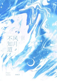 风月不相关小说
